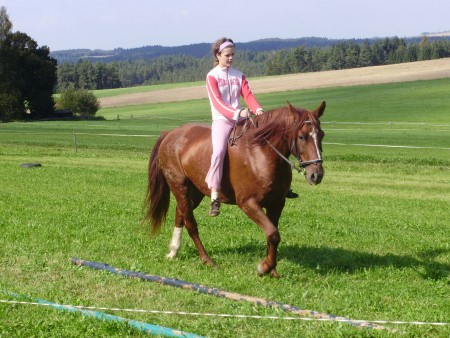 Janča